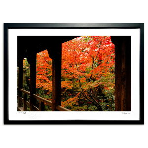 ŉ SɎcH (SHIROIRO)CeA Ǌ| z i |X^[ A[g rO ւɏ  v[g _ A[gt[