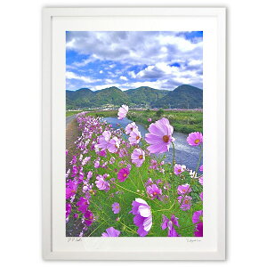 ŉ ɂȂтRXX (mitan)CeA Ǌ| z i |X^[ A[g rO ւɏ  v[g _ A[gt[