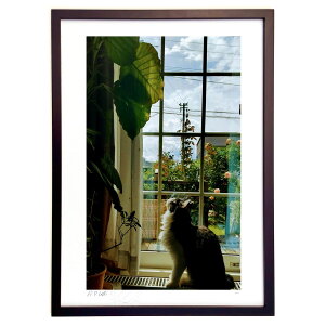 ŉ ʐ^@̐ (Gille1119)CeA Ǌ| z i |X^[ A[g rO ւɏ  v[g _ A[gt[