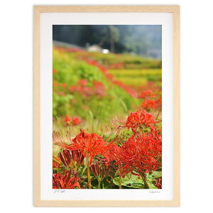 ŉ ȐH (mitan)CeA Ǌ| z i |X^[ A[g rO ւɏ  v[g _ A[gt[