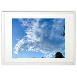 ŉ P̉_ (SHIROIRO)CeA Ǌ| z i |X^[ A[g rO ւɏ  v[g _ A[gt[