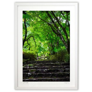 ŉ ΂̃gl (SHIROIRO)CeA Ǌ| z i |X^[ A[g rO ւɏ  v[g _ A[gt[