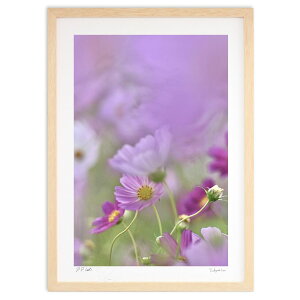 ŉ H (mitan)CeA Ǌ| z i |X^[ A[g rO ւɏ  v[g _ A[gt[