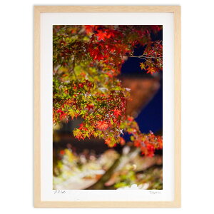 ŉ グH (SHIROIRO)CeA Ǌ| z i |X^[ A[g rO ւɏ  v[g _ A[gt[