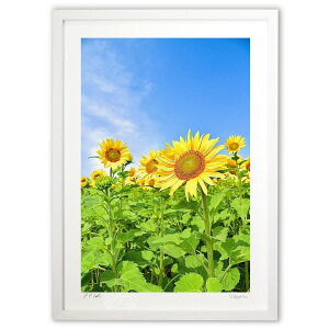 ŉ zɉfЂ܂ (mitan)CeA Ǌ| z i |X^[ A[g rO ւɏ  v[g _ A[gt[