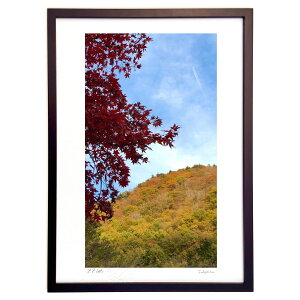 ŉ H (Rozemary)CeA Ǌ| z i |X^[ A[g rO ւɏ  v[g _ A[gt[