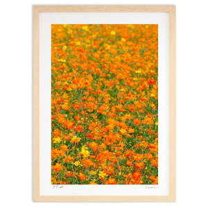 ŉ IWJ[ybg (toshikazu)CeA Ǌ| z i |X^[ A[g rO ւɏ  v[g _ A[gt[