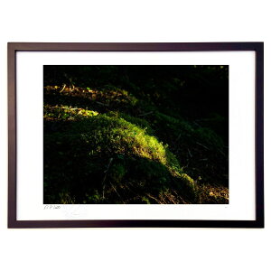 ŉ [ (hi69ing)CeA Ǌ| z i |X^[ A[g rO ւɏ  v[g _ A[gt[