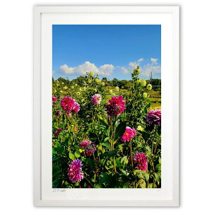 �ŉ� �_���A (Gille1119)�C���e���A �Ǌ|�� �z���� ���i�� �|�X�^�[ �A�[�g ���r���O ���ւɏ��� ���� �v���[���g ���_�� �A�[�g�t���[��