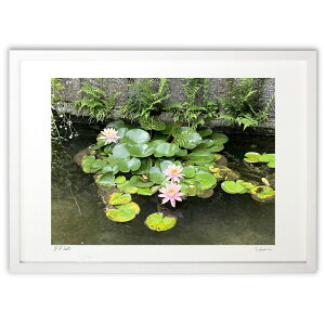 ŉ @̉ (Ђ)CeA Ǌ| z i |X^[ A[g rO ւɏ  v[g _ A[gt[