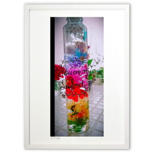 ŉ n[o[ (Gille1119)CeA Ǌ| z i |X^[ A[g rO ւɏ  v[g _ A[gt[