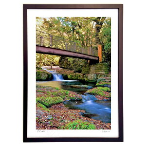 ŉ ԋ̏H (mitan)CeA Ǌ| z i |X^[ A[g rO ւɏ  v[g _ A[gt[