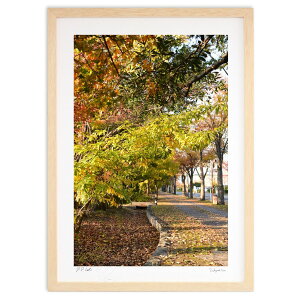 ŉ H̃vi[h (mitan)CeA Ǌ| z i |X^[ A[g rO ւɏ  v[g _ A[gt[