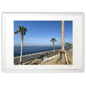 ŉ CƋƐ (Ђ)CeA Ǌ| z i |X^[ A[g rO ւɏ  v[g _ A[gt[