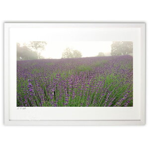 ŉ x_[̋u (Gille1119)CeA Ǌ| z i |X^[ A[g rO ւɏ  v[g _ A[gt[