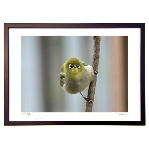 ŉ 킢W (V)CeA Ǌ| z i |X^[ A[g rO ւɏ  v[g _ A[gt[