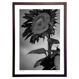 yX[p[SALEzzŉ I (zx)CeA Ǌ| z i |X^[ A[g rO ւɏ  v[g _ A[gt[