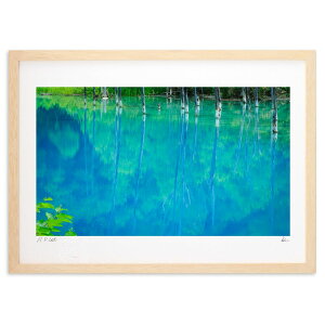 ŉ r (L)CeA Ǌ| z i |X^[ A[g rO ւɏ  v[g _ A[gt[