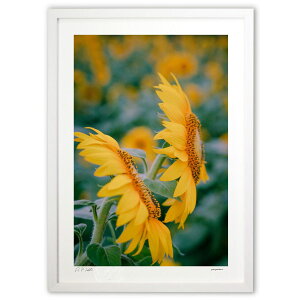 ŉ ̂Ђ܂ (zx)CeA Ǌ| z i |X^[ A[g rO ւɏ  v[g _ A[gt[