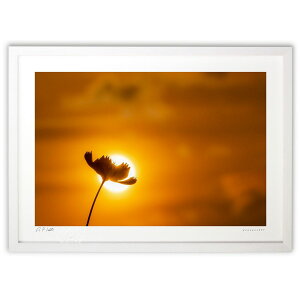 ŉ [̃RXX (bluewoods07)