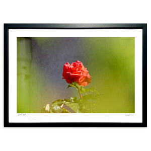 ŉ NɂЂƂ߂ڂ (V)CeA Ǌ| z i |X^[ A[g rO ւɏ  v[g _ A[gt[