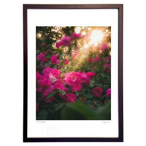 yX[p[SALEzzŉ ΗzKN (crazetaka)CeA Ǌ| z i |X^[ A[g rO ւɏ  v[g _ A[gt[