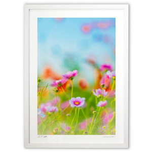 ŉ zIȏH (bluewoods07)CeA Ǌ| z i |X^[ A[g rO ւɏ  v[g _ A[gt[