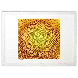 ŉ Ђ܂ (V)CeA Ǌ| z i |X^[ A[g rO ւɏ  v[g _ A[gt[