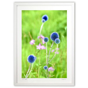 ŉ qS^C (mitan)CeA Ǌ| z i |X^[ A[g rO ւɏ  v[g _ A[gt[