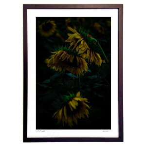 ŉ Jオ̂Ђ܂蔨 (zx)CeA Ǌ| z i |X^[ A[g rO ւɏ  v[g _ A[gt[