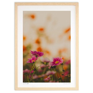 ŉ mX^WbNRXX (bluewoods07)