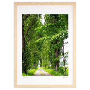 ŉ V΂̗V (Xm[oj)CeA Ǌ| z i |X^[ A[g rO ւɏ  v[g _ A[gt[