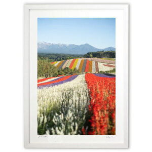 ŉ lGʂ̋u ({ \i)CeA Ǌ| z i |X^[ A[g rO ւɏ  v[g _ A[gt[