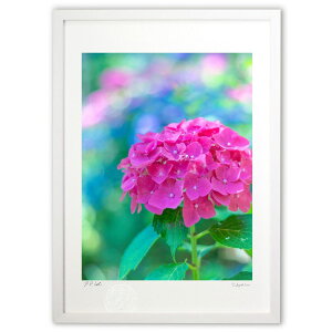 ŉ 炵z (crazetaka)CeA Ǌ| z i |X^[ A[g rO ւɏ  v[g _ A[gt[