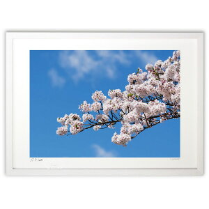 ŉ  (I.ISHIGAMI)CeA Ǌ| z i |X^[ A[g rO ւɏ  v[g _ A[gt[