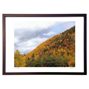 ŉ H̖L (Xm[oj)CeA Ǌ| z i |X^[ A[g rO ւɏ  v[g _ A[gt[