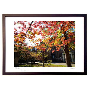 ŉ H (Xm[oj)CeA Ǌ| z i |X^[ A[g rO ւɏ  v[g _ A[gt[