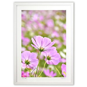 ŉ Vĝ悤ȃRXX (mitan)CeA Ǌ| z i |X^[ A[g rO ւɏ  v[g _ A[gt[