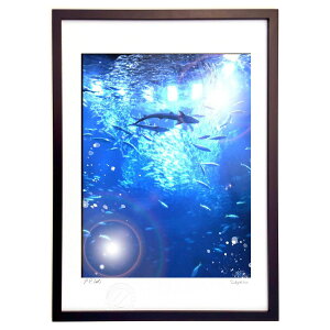 ŉ ̊C (̂)CeA Ǌ| z i |X^[ A[g rO ւɏ  v[g _ A[gt[