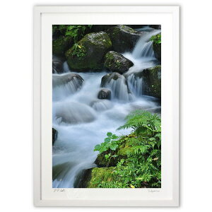 ŉ  (mitan)CeA Ǌ| z i |X^[ A[g rO ւɏ  v[g _ A[gt[