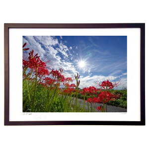 ŉ ފ݉ (I.ISHIGAMI)CeA Ǌ| z i |X^[ A[g rO ւɏ  v[g _ A[gt[