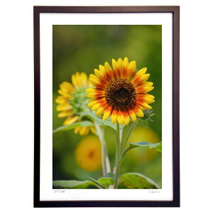 ŉ bhoCJ[ (h)CeA Ǌ| z i |X^[ A[g rO ւɏ  v[g _ A[gt[