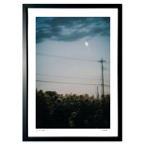 yX[p[SALEzzŉ QE (zx)CeA Ǌ| z i |X^[ A[g rO ւɏ  v[g _ A[gt[