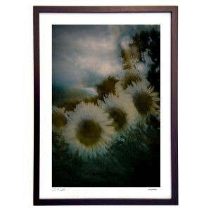 yX[p[SALEzzŉ A鎞ɗh (zx)CeA Ǌ| z i |X^[ A[g rO ւɏ  v[g _ A[gt[