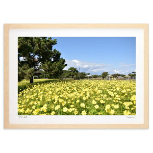 ŉ ʐ^ELoiRXX (})CeA Ǌ| z i |X^[ A[g rO ւɏ  v[g _ A[gt[