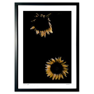 ŉ Ԍ̂悤 (zx)CeA Ǌ| z i |X^[ A[g rO ւɏ  v[g _ A[gt[