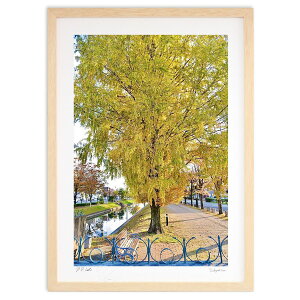 ŉ ^ZRCA (mitan)CeA Ǌ| z i |X^[ A[g rO ւɏ  v[g _ A[gt[