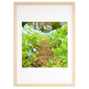 ŉ ȐE (Ƃ)CeA Ǌ| z i |X^[ A[g rO ւɏ  v[g _ A[gt[