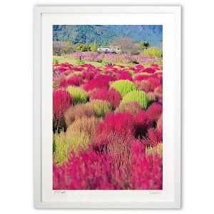 ŉ ^ԂȃRLAƗ΂̃RLA (mitan)CeA Ǌ| z i |X^[ A[g rO ւɏ  v[g _ A[gt[