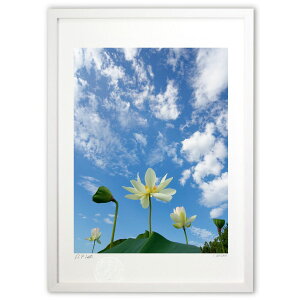 ŉ ċƘ@ (I.ISHIGAMI)CeA Ǌ| z i |X^[ A[g rO ւɏ  v[g _ A[gt[